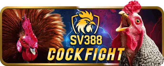 Quy trình đăng ký và xác minh tài khoản 009bet Nhà Cái
